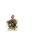 Fleur de thé "Jewel Droplet"