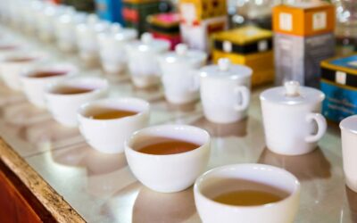 Comment déguster son thé : le guide en 7 étapes