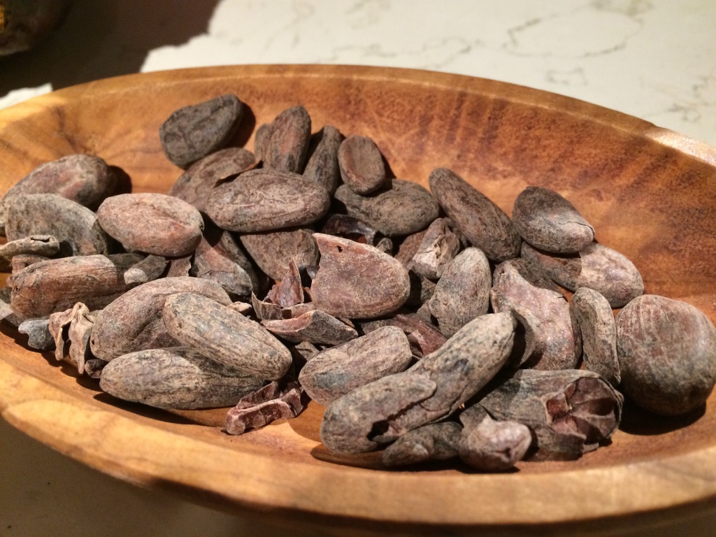 Fève de cacao torréfiées