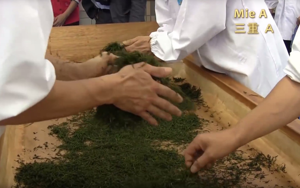L’incroyable technique de roulage du thé vert au Japon