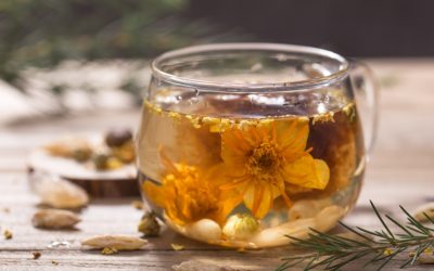 Comment faire du thé au jasmin soi-même ?