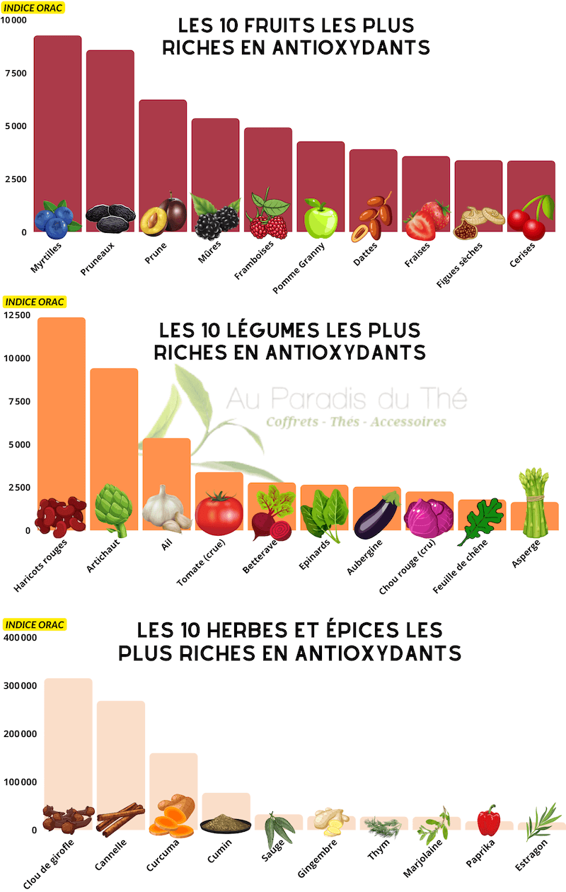 Graphique des aliments les plus riches en antioxydants
