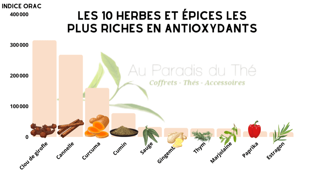 Les 10 herbes et épices les plus riches en antioxydants