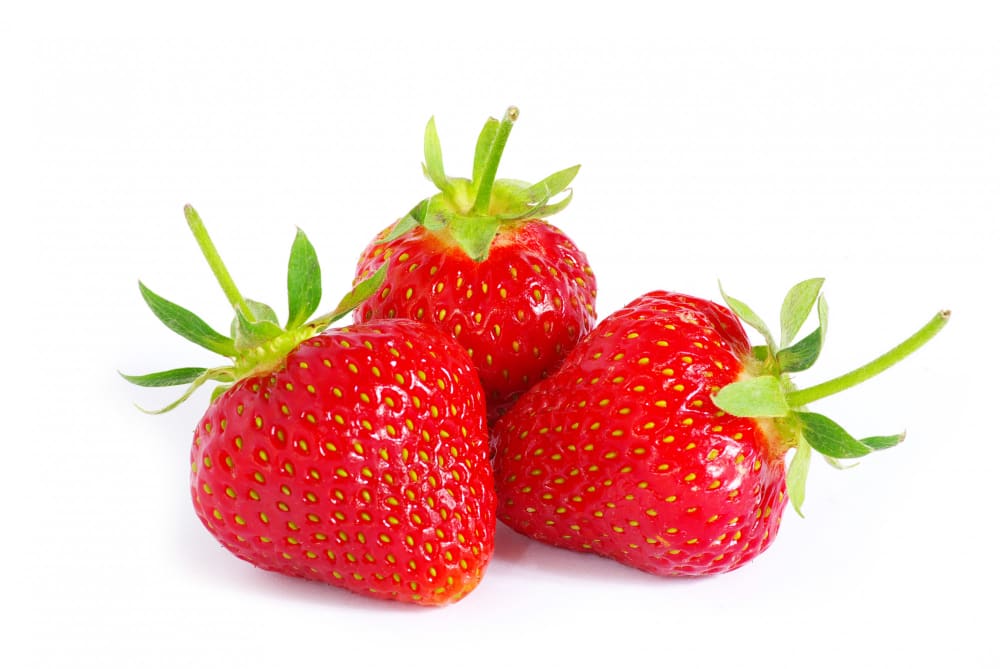 fraises sur fond blanc