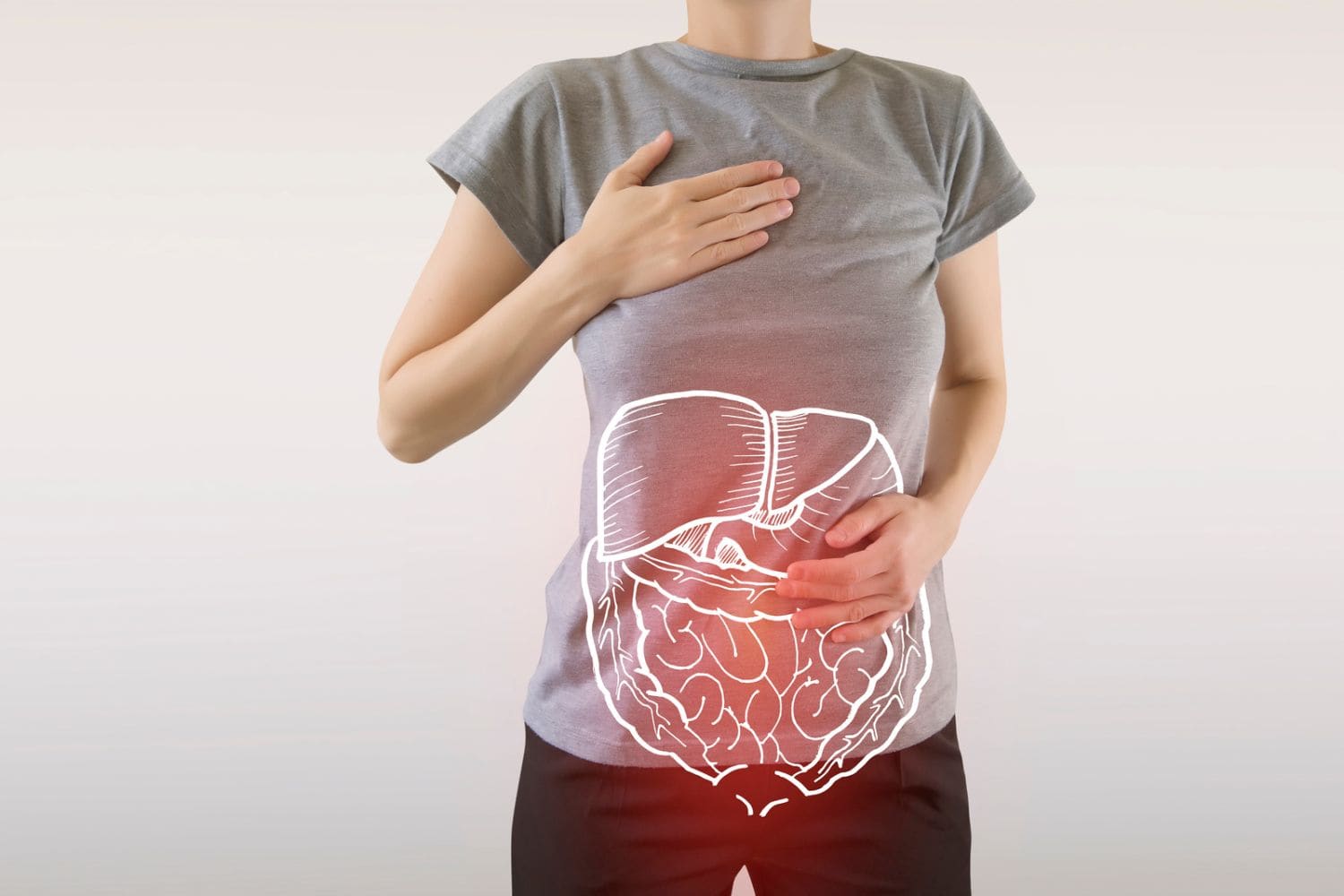Illustration du système digestif