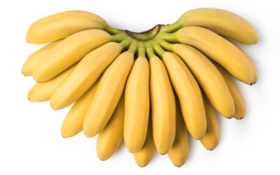 Ne jetez plus vos peaux de bananes : 7 usages incroyables