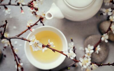 Est-il possible d’avoir une allergie au thé ?