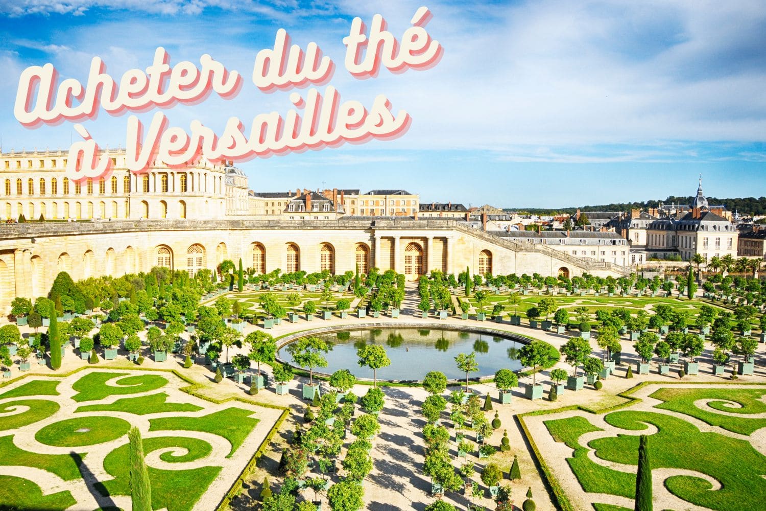 Acheter du thé à Versailles