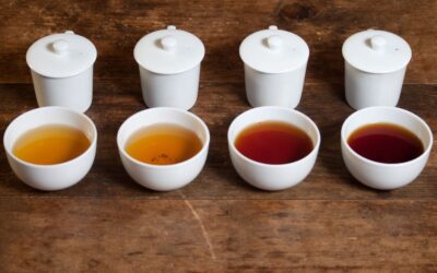 Comment la science explique le goût du thé