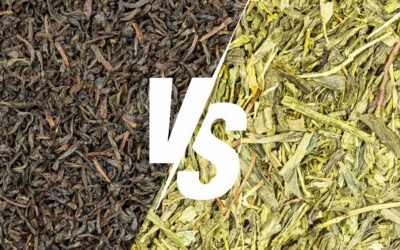 Thé noir ou thé vert : quelles différences, quels avantages ?