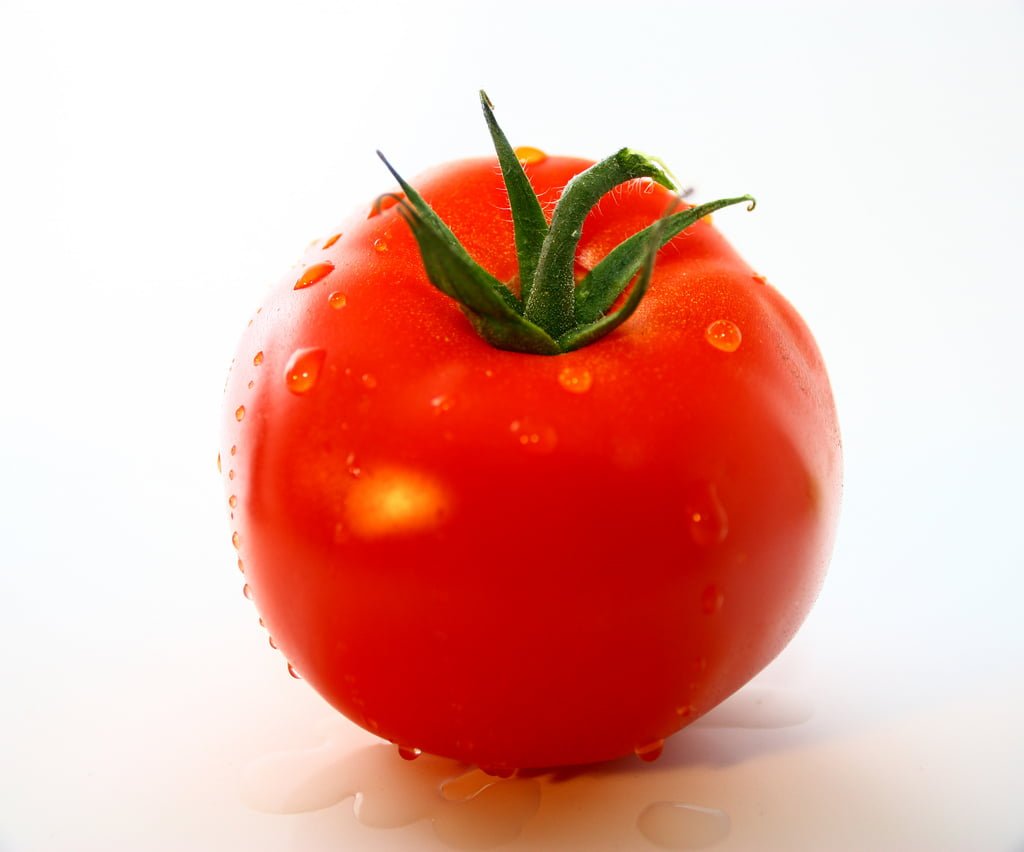 Tomate rouge sur fond blanc