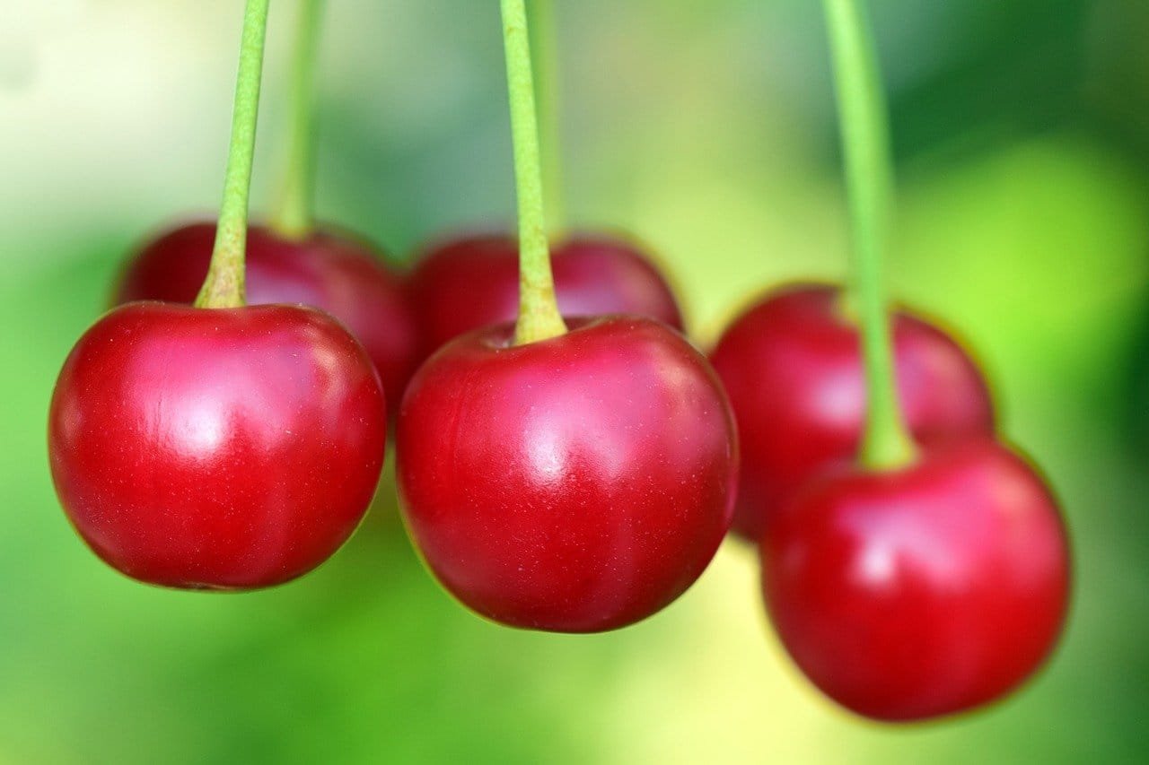 acheter des queues de cerises