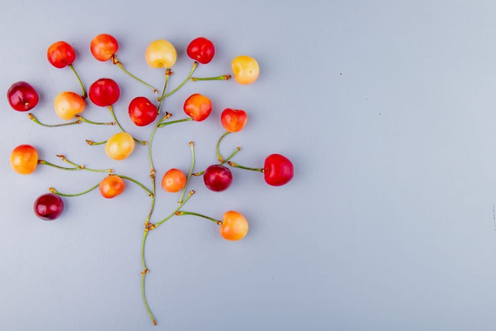 queues de cerise dispersées