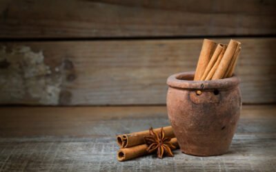 Bienfaits de la cannelle : ce que la science dit vraiment