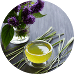 citronnelle en infusion