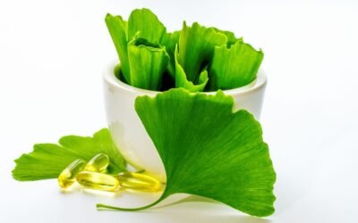 Ginkgo biloba : 8 bienfaits et 4 dangers selon la science