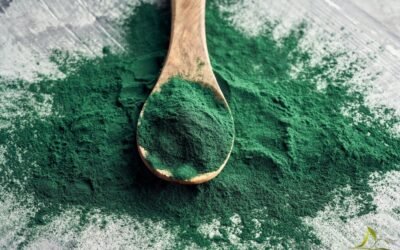 10 bienfaits de la spiruline confirmés par la science