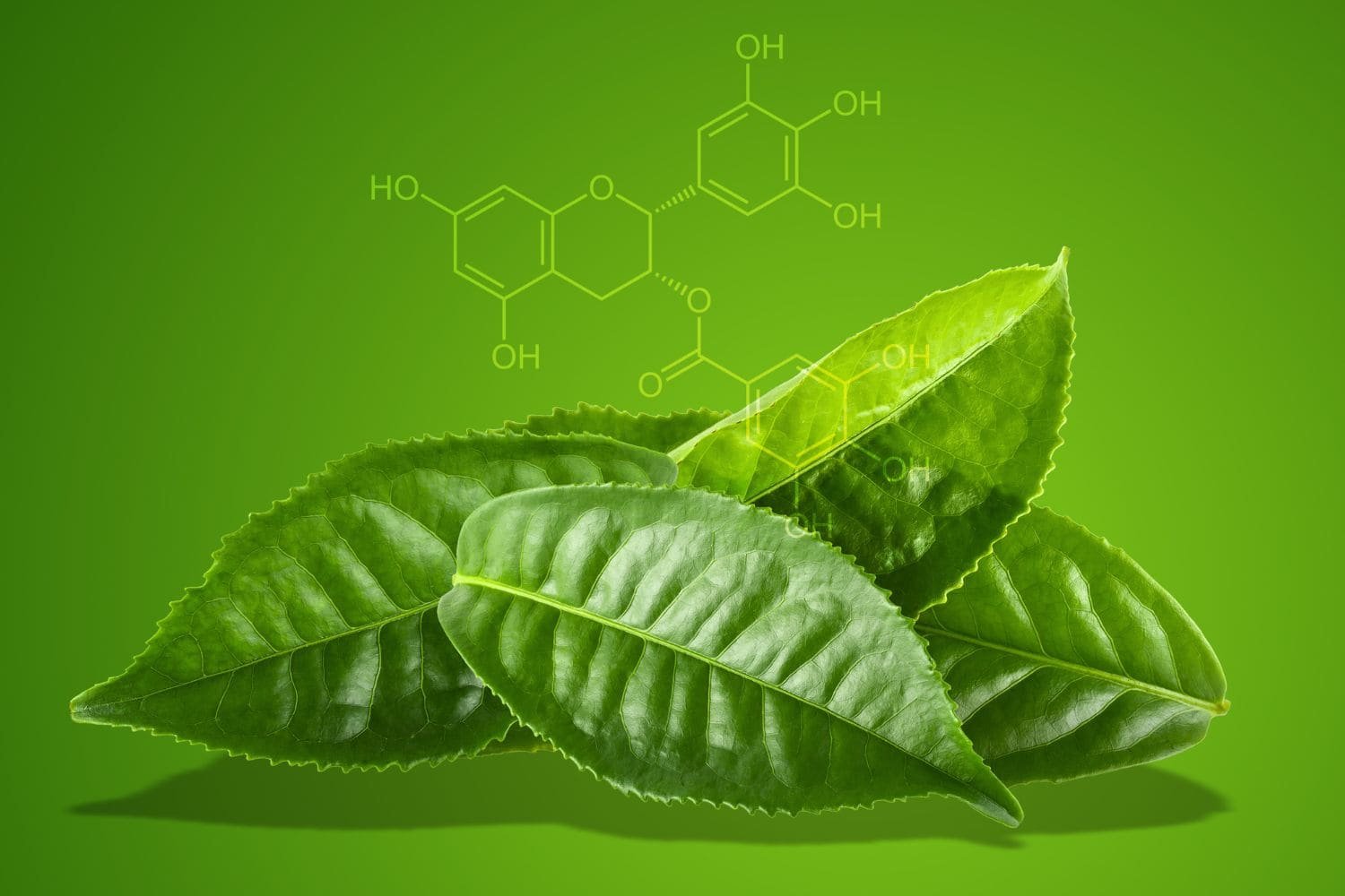 EGCG