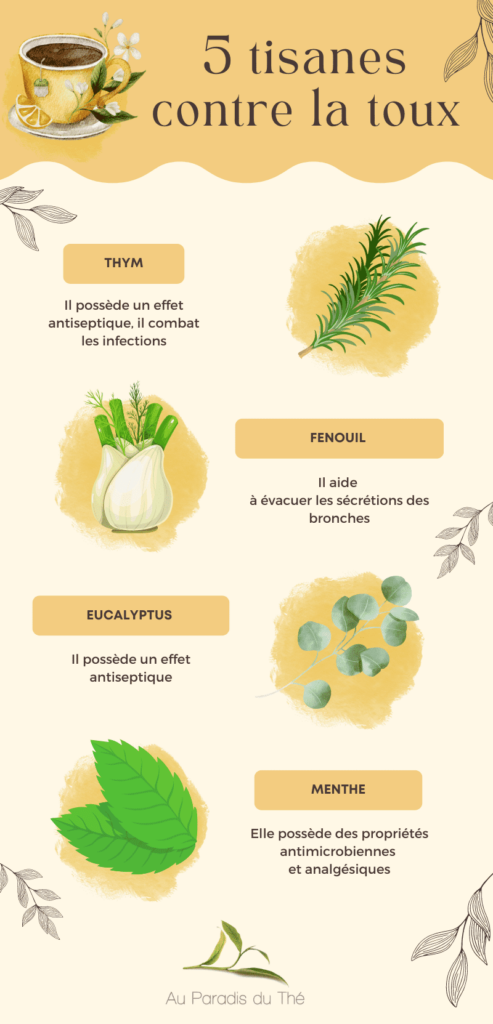 Tisanes contre la toux en une infographie