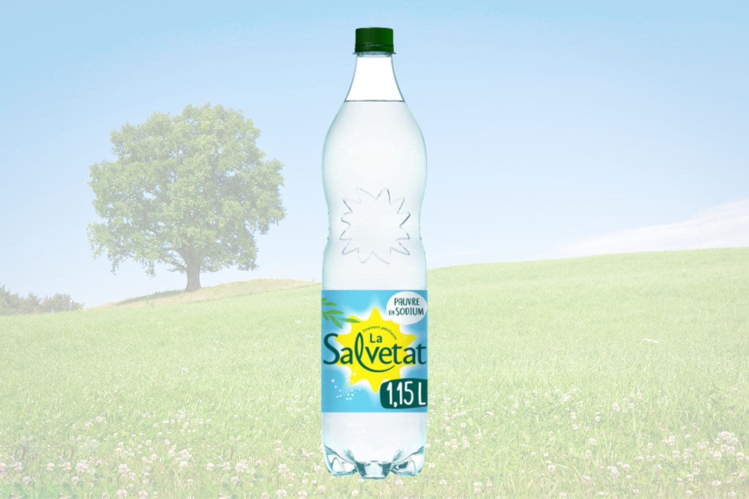 Bouteille d'eau Salvetat
