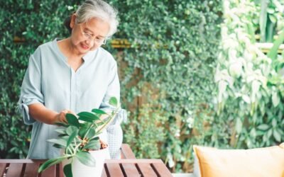 Que mangent et font les centenaires pour vivre plus vieux ?