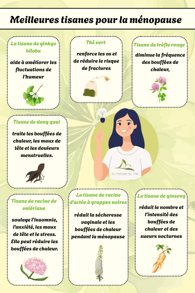 Infographie - Tisanes contre la ménopause en un coup d'oeil