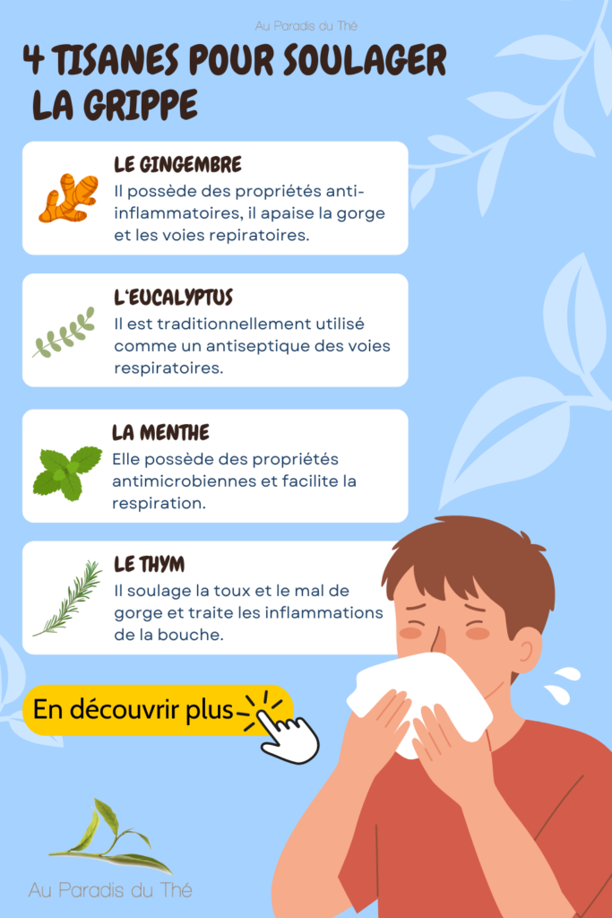 infographie meilleures tisanes pour soulager la grippe