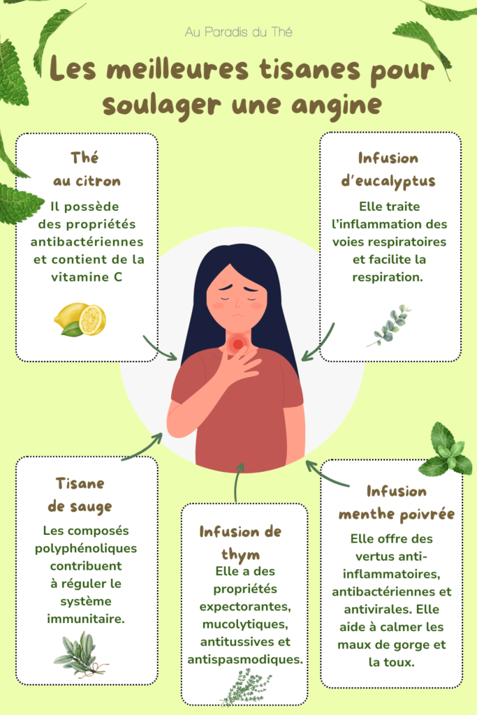Infographie sur les tisanes pour angine