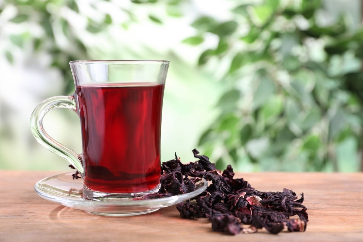 infusion de bissap