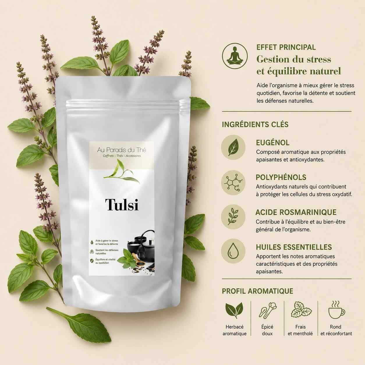 fiche tulsi