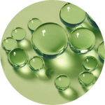 illustration antioxydants