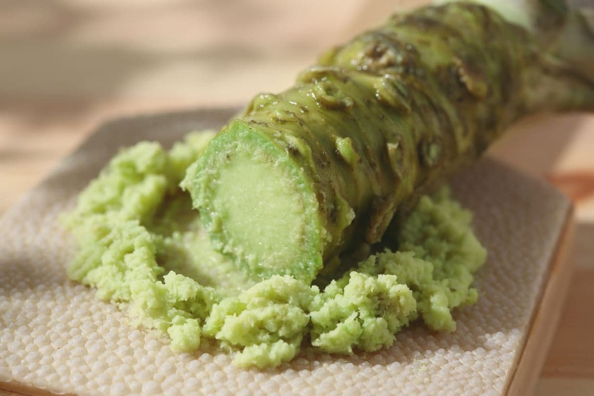 racine de wasabi