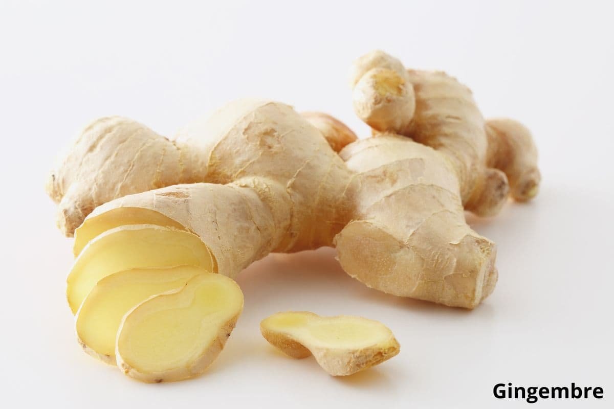 gingembre racine gingembre racine